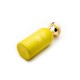 Richard Pear Show - 100ML