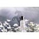 Les Liquides Imaginaires Blanche Bete- 100ML