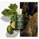 Parfums de Marly Haltane - 125ML