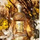 Guerlain Aqua Allegoria Forte Bosca Vanilla 75ML