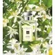 Jo Malone Orange Blossom - 100ML